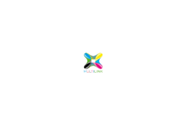 Multi Link Printing Service L.L.C